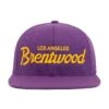 Brentwood Lakers Snapback Hat 1 Brentwood Lakers Snapback Hat -Clothing Store HoodHats BrentwoodConcord Front 521f8db7 d61e 4b6b 9edc b2b46dc04049