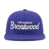 Brentwood Dodgers Snapback Hat -Clothing Store HoodHats BrentwoodRoyal Front 11928cff d879 4ffe b2e8 363c2274a56d