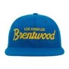 Brentwood Bruins Snapback Hat -Clothing Store HoodHats BrentwoodSlushPuppy Front 2e9a406e f058 4885 8ebc db0324c657cc