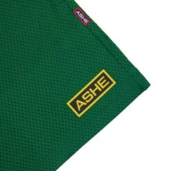 Ashe Sport Logo Mesh Short -Clothing Store color green soweto 2