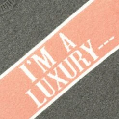 Gyles & George Women's "I'm A Luxury" Sweater 35 Gyles & George Women's "I'm A Luxury" Sweater -Clothing Store color grey 3 44b62cb9 8cd6 4a62 a0e2 9244b6f359cf