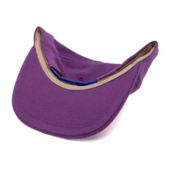 Phoenix Snapback Hat -Clothing Store hood phoenix bottom eef1c456 016a 47b5 aec9 431631cf0bce